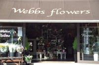Webbs Flowers 1064765 Image 1